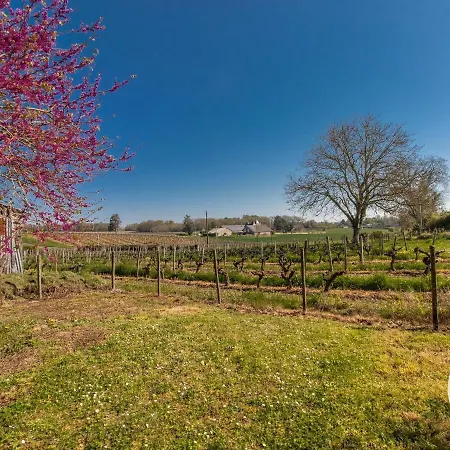 Charmante Pres Des Vignes Avec Wifi, Bbq Et Proche D'angers Et Saumur - Fr-1-622-68 Holiday home *